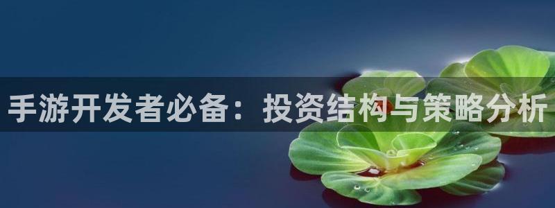三牛娱乐登录：手游开发者必备：投资结构与策略分析