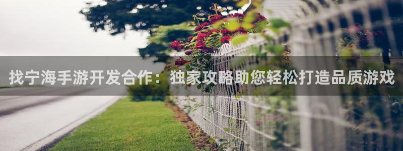 三牛娱乐哪里去了：找宁海手游开发合作：独家攻略助您轻松打造品