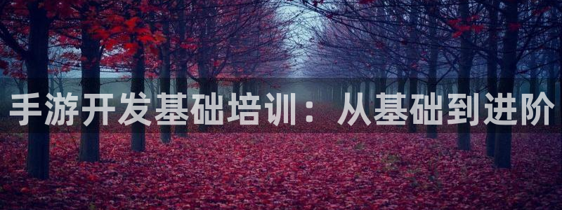 三牛娱乐官网登录入口下载苹果：手游开发基础培训：从基础到进阶