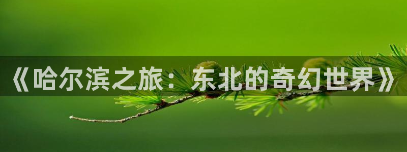 三牛娱乐测速系统app：《哈尔滨之旅：东北的奇幻世界》